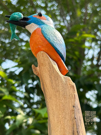 Wooden Kingfisher Perch Stand