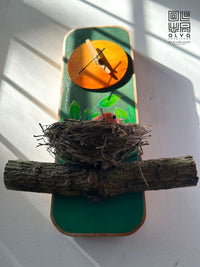Timeless Nest Bird