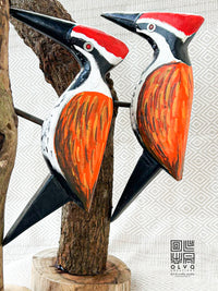 Woodpecker